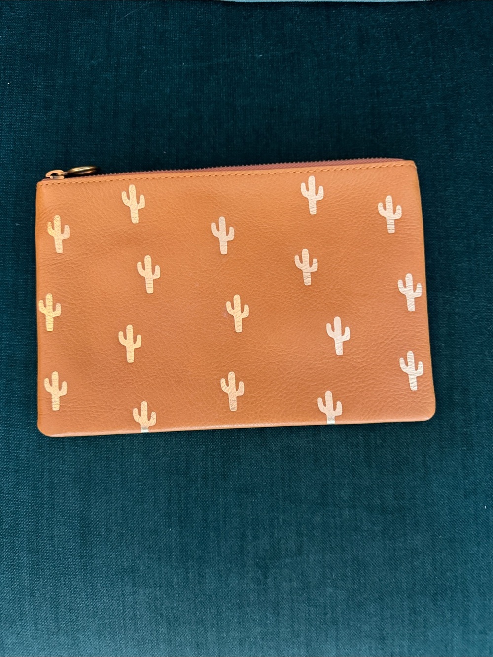Madewell Saguaro Cactus Leather Clutch